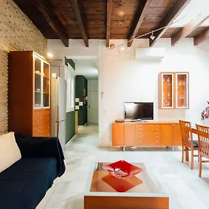 Precioso Apartamento En El Casco Antiguo De Triana Séville